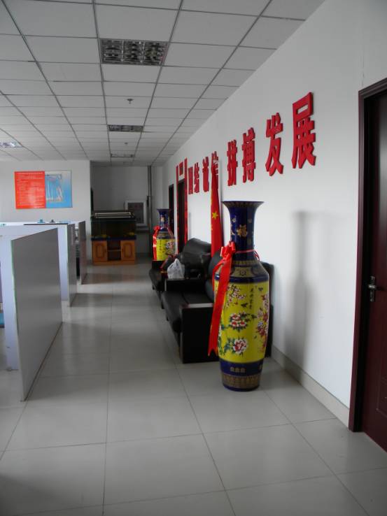 2b72cf6fbd9ab69b39450db12f082274.jpg
